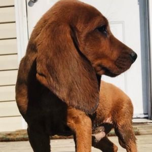 Meet your Posher, Kelsie leigh